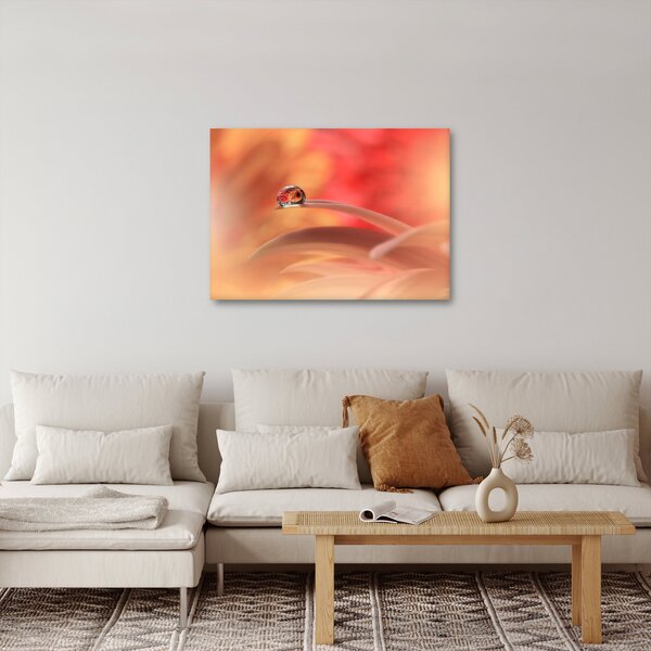 Slika cvjetne kapi rose (70x50 cm)