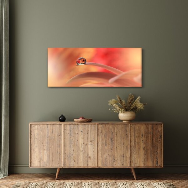 Slika cvjetne kapi rose (120x50 cm)