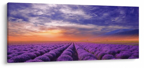 Slika polja lavande (120x50 cm)