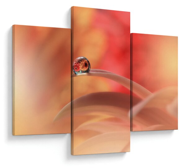 Slika cvjetne kapi rose (90x60 cm)