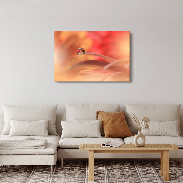 Slika cvjetne kapi rose (90x60 cm)