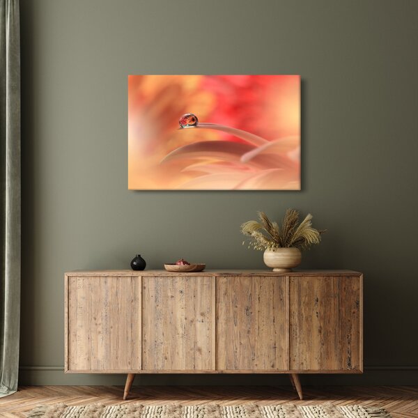 Slika cvjetne kapi rose (90x60 cm)
