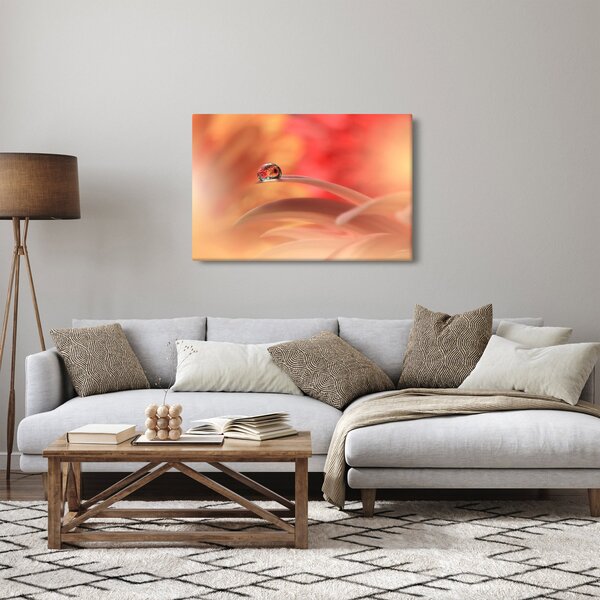 Slika cvjetne kapi rose (90x60 cm)