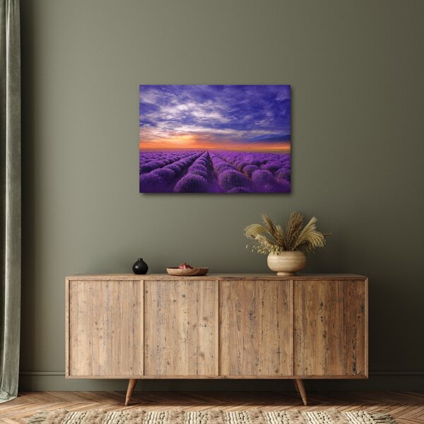 Slika polja lavande (70x50 cm)