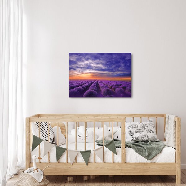 Slika polja lavande (70x50 cm)
