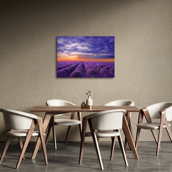 Slika polja lavande (70x50 cm)