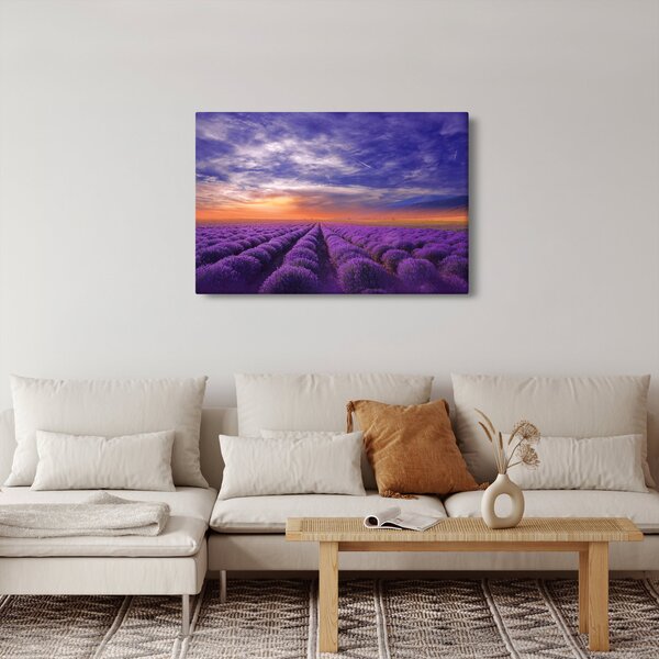 Slika polja lavande (90x60 cm)