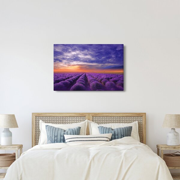 Slika polja lavande (90x60 cm)