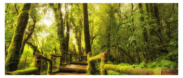 Slika džungle i mahovine (120x50 cm)