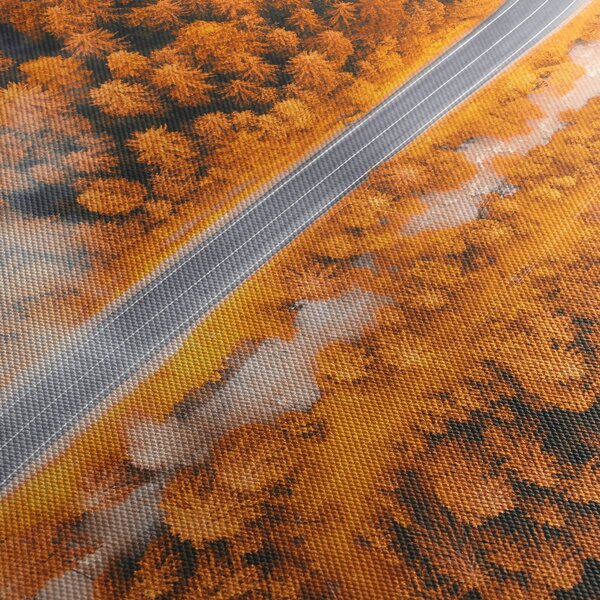 Slika - Planinski put (90x60 cm)