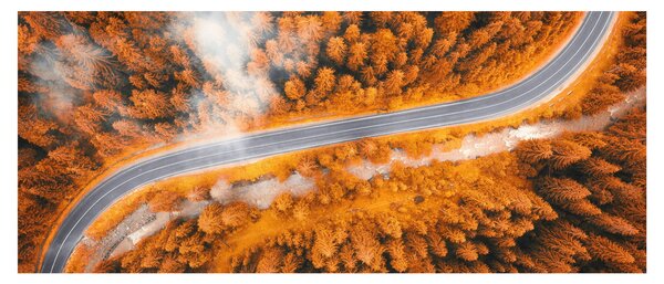 Slika - Planinski put (120x50 cm)