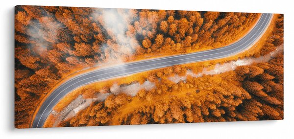 Slika - Planinski put (120x50 cm)
