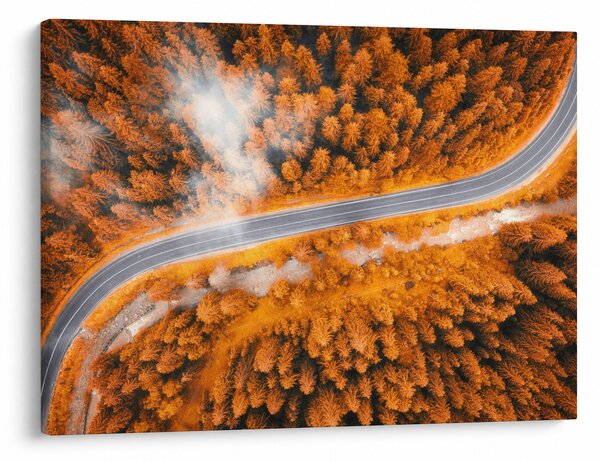 Slika - Planinski put (70x50 cm)