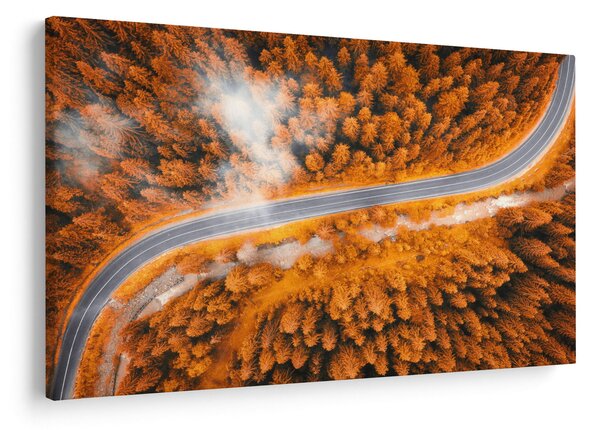 Slika - Planinski put (90x60 cm)