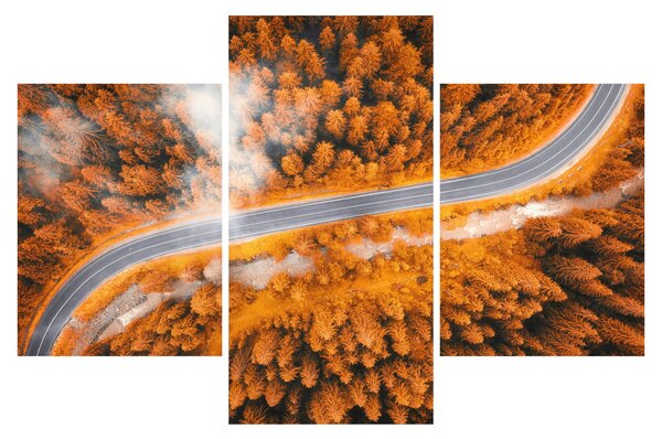 Slika - Planinski put (90x60 cm)