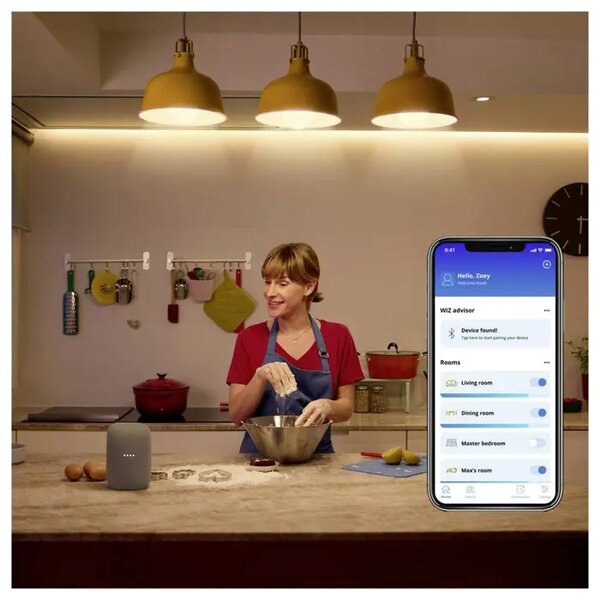 PHILIPS WIZ PAMETNA ŽARULJA WI-FI BLE 100W A60 E27 RGB 8720169078802