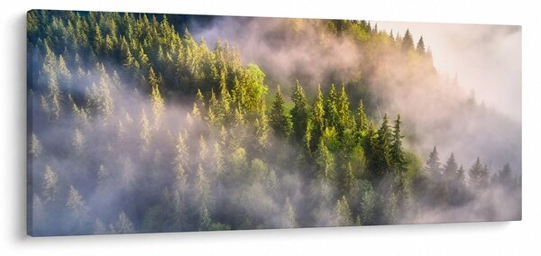 Slika planinskog krajolika (120x50 cm)