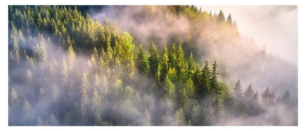 Slika planinskog krajolika (120x50 cm)