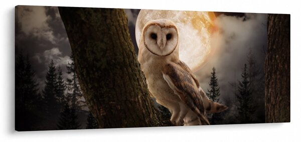 Slika sove kukuvije (120x50 cm)