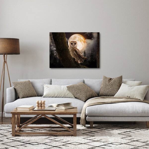 Slika sove kukuvije (70x50 cm)