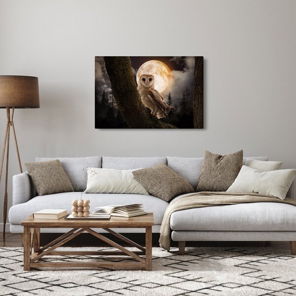 Slika sove kukuvije (90x60 cm)