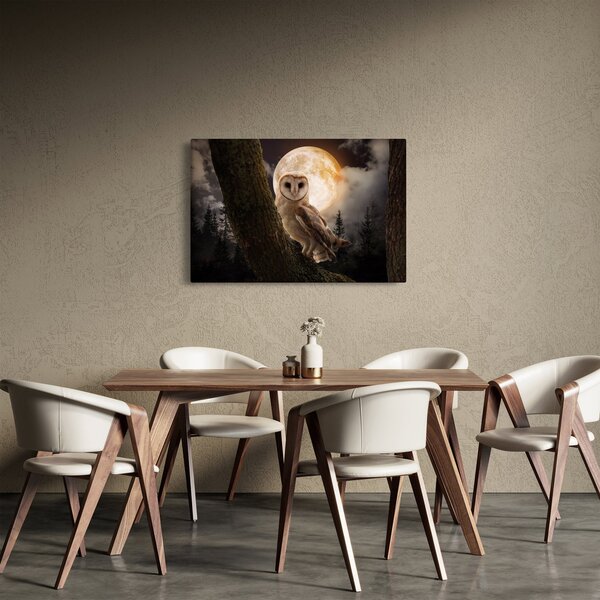 Slika sove kukuvije (90x60 cm)