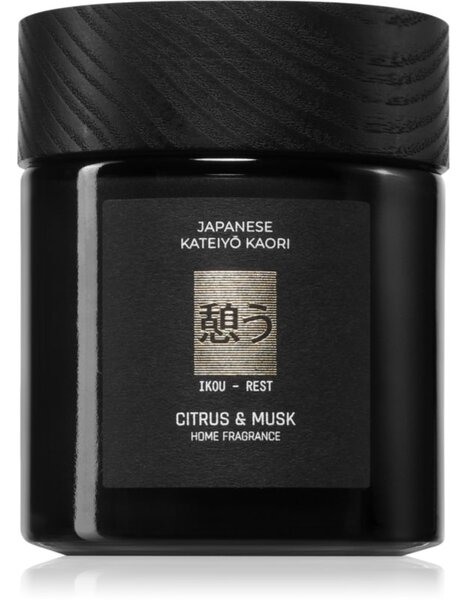 Vila Hermanos Apothecary Japanese Rest mirisna svijeća 150 g