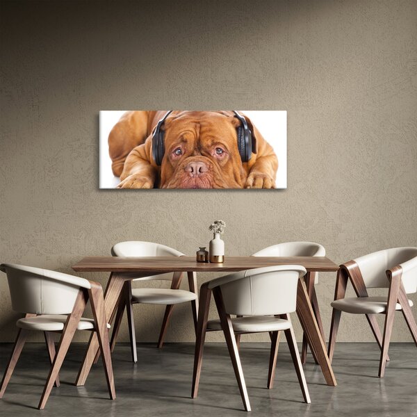 Slika psa sa slušalicama (120x50 cm)