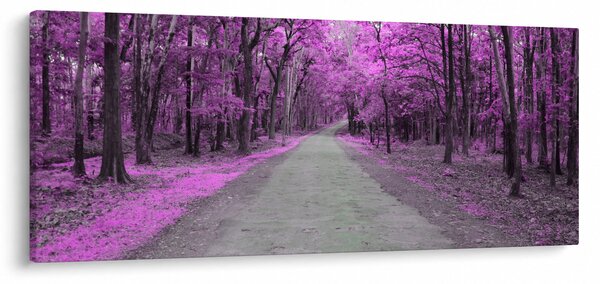 Slika - Put kroz park (120x50 cm)