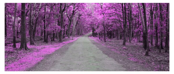 Slika - Put kroz park (120x50 cm)
