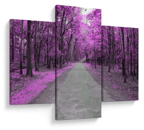 Slika - Put kroz park (90x60 cm)