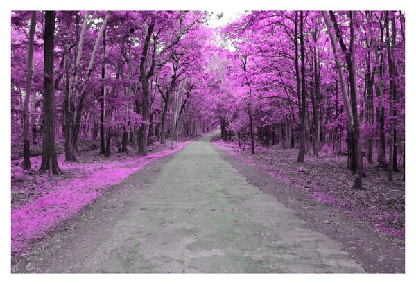 Slika - Put kroz park (90x60 cm)