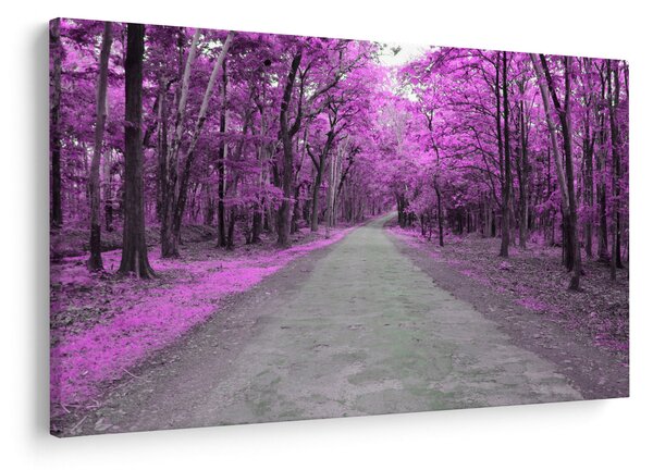 Slika - Put kroz park (90x60 cm)