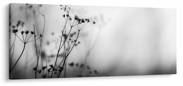 Slika - Detalj livadnog cvijeća (120x50 cm)