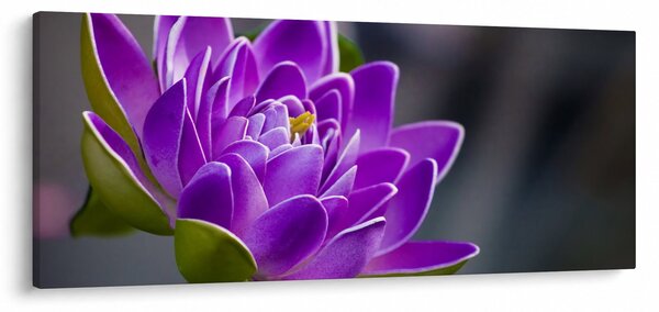 Slika cvijeta (120x50 cm)