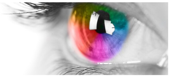 Slika - Iris oka (120x50 cm)