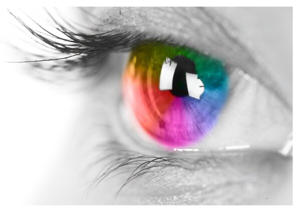 Slika - Iris oka (90x60 cm)