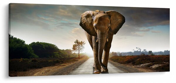 Slika slona (120x50 cm)