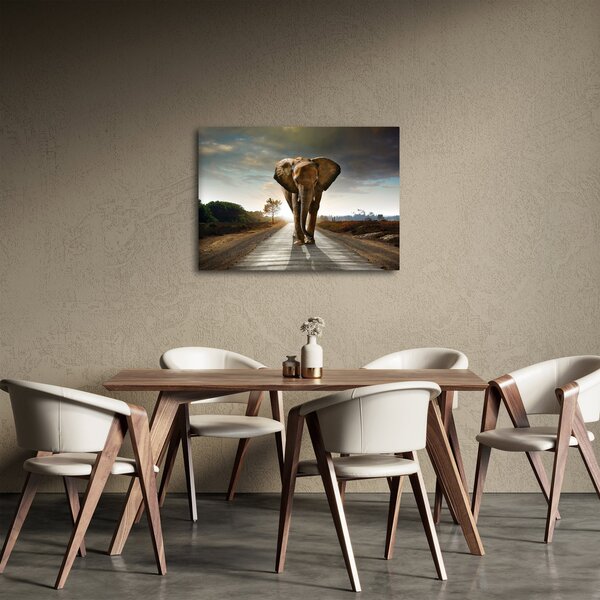 Slika slona (70x50 cm)