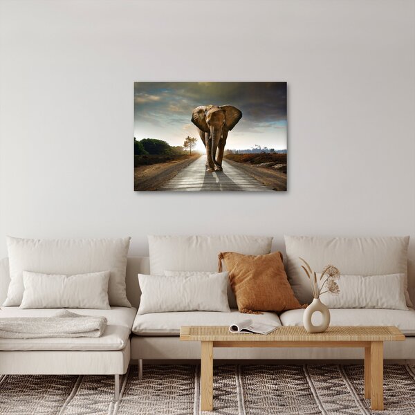 Slika slona (70x50 cm)
