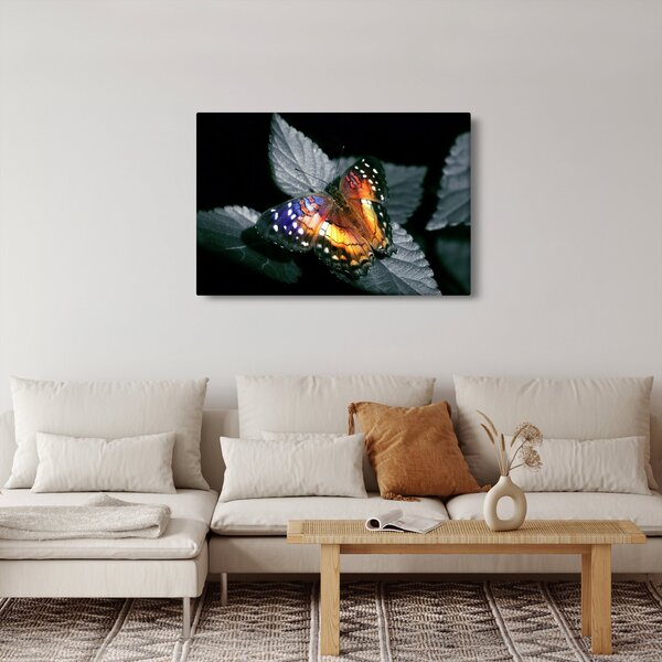 Slika leptira (90x60 cm)