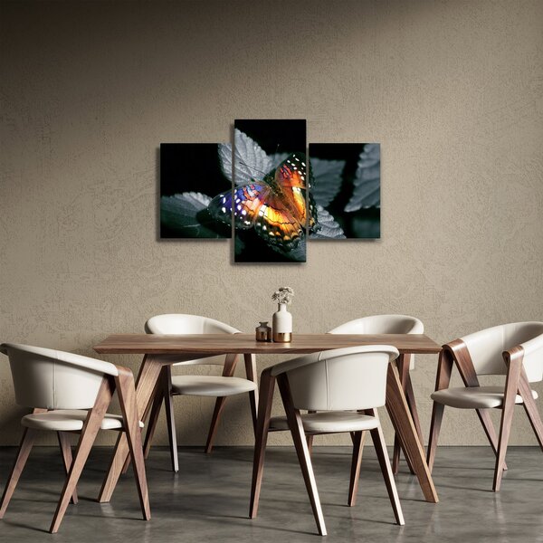 Slika leptira (90x60 cm)