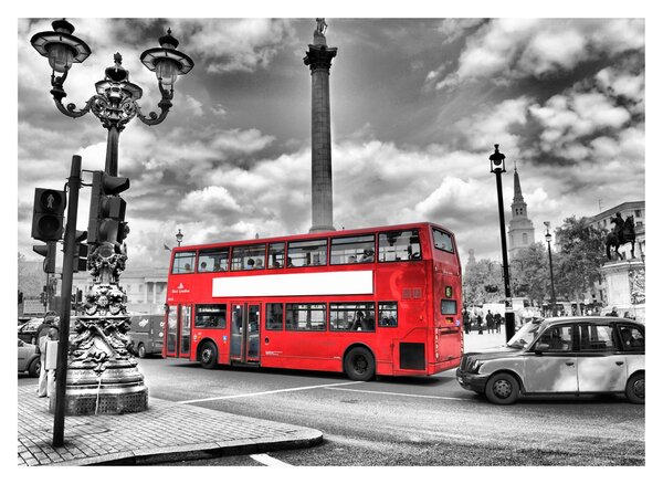 Slika - Trafalgar Square (70x50 cm)