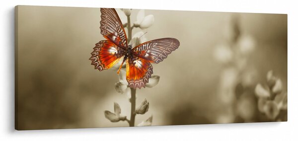 Slika leptira (120x50 cm)