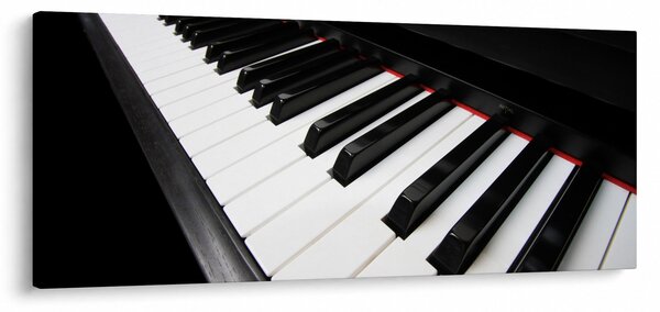 Slika klavirskih tipki (120x50 cm)
