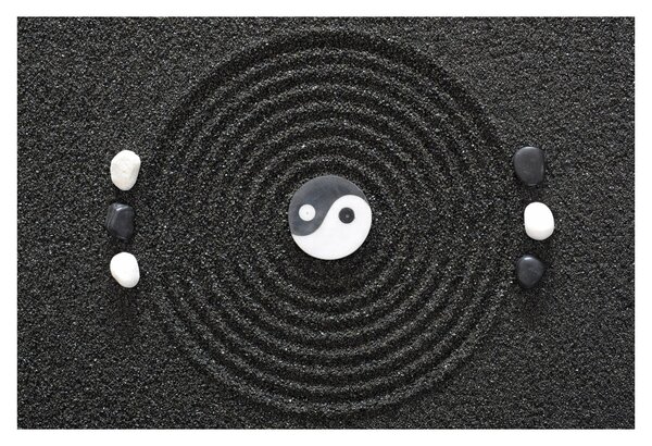 Slika - Yin i Yang (90x60 cm)