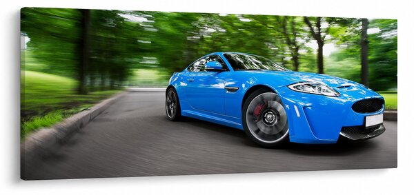 Slika - Trkaći automobil (120x50 cm)