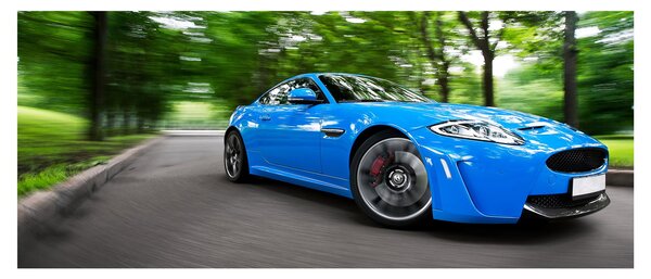Slika - Trkaći automobil (120x50 cm)