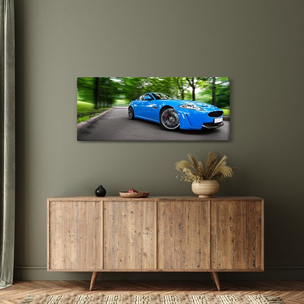 Slika - Trkaći automobil (120x50 cm)