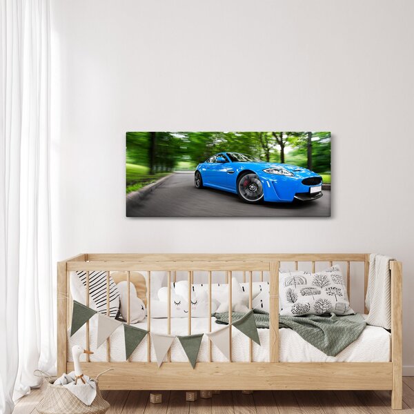 Slika - Trkaći automobil (120x50 cm)